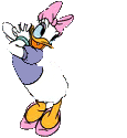 Daisy