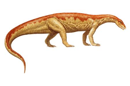 anchisaurus